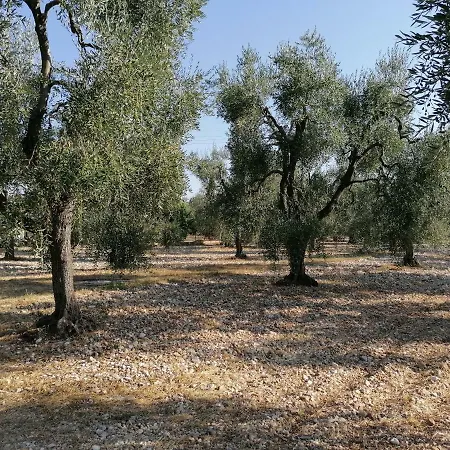 Nyaraló Domus Arwen